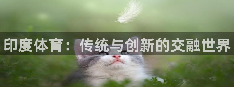 印度体育：传统与创新的交融世界