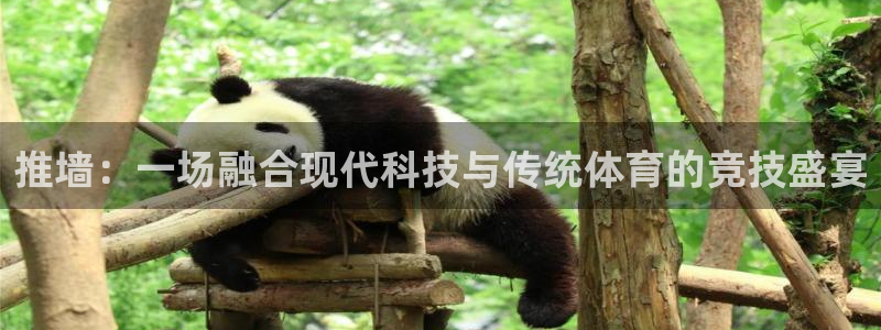 推墙：一场融合现代科技与传统体育的竞技盛宴