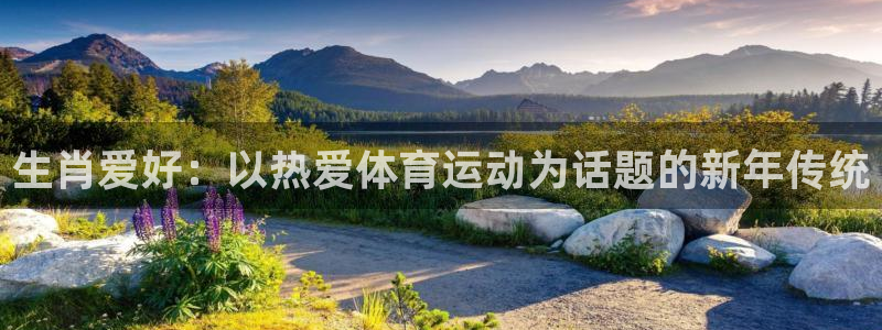 生肖爱好：以热爱体育运动为话题的新年传统
