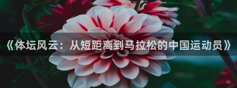 《体坛风云：从短距离到马拉松的中国运动员》