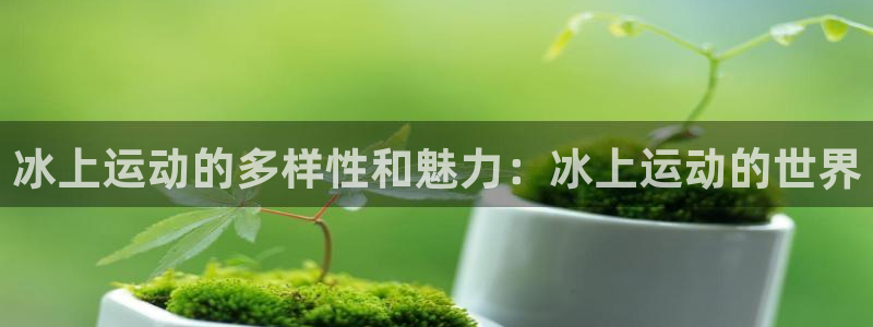 冰上运动的多样性和魅力：冰上运动的世界