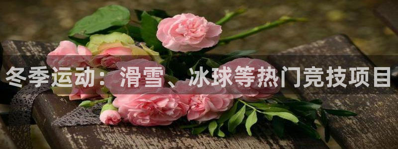 冬季运动：滑雪、冰球等热门竞技项目