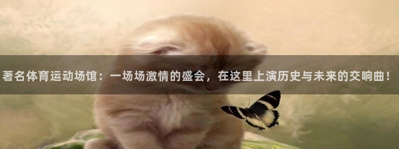 著名体育运动场馆：一场场激情的盛会，在这里上演历史与未来的交响曲！