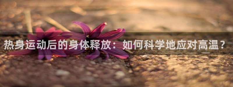热身运动后的身体释放：如何科学地应对高温？