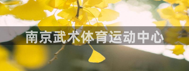 南京武术体育运动中心