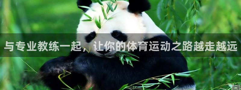 与专业教练一起，让你的体育运动之路越走越远
