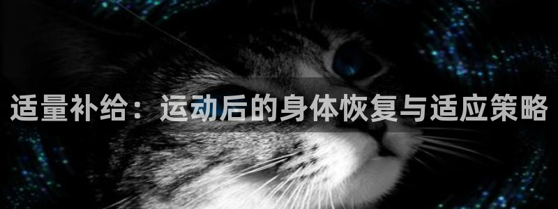 适量补给：运动后的身体恢复与适应策略