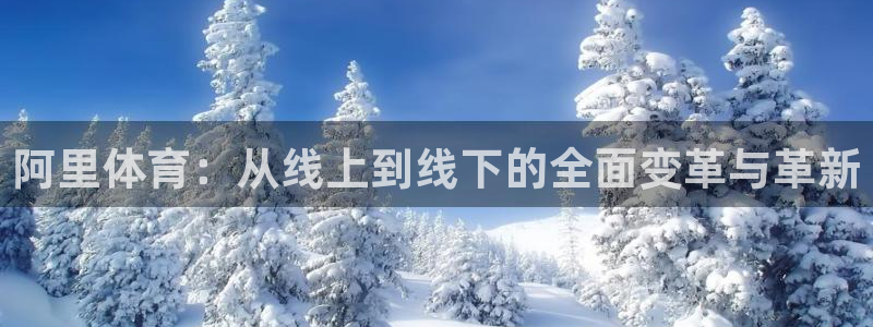 阿里体育：从线上到线下的全面变革与革新