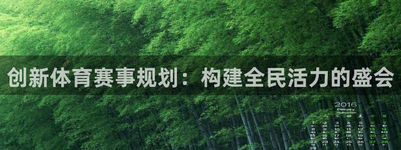创新体育赛事规划：构建全民活力的盛会