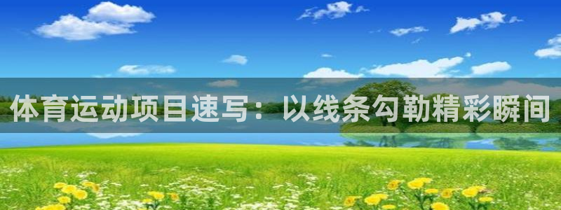 体育运动项目速写：以线条勾勒精彩瞬间