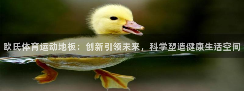 欧氏体育运动地板：创新引领未来，科学塑造健康生活空间
