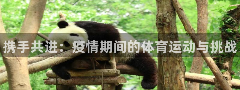 携手共进：疫情期间的体育运动与挑战