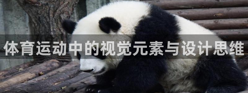 体育运动中的视觉元素与设计思维