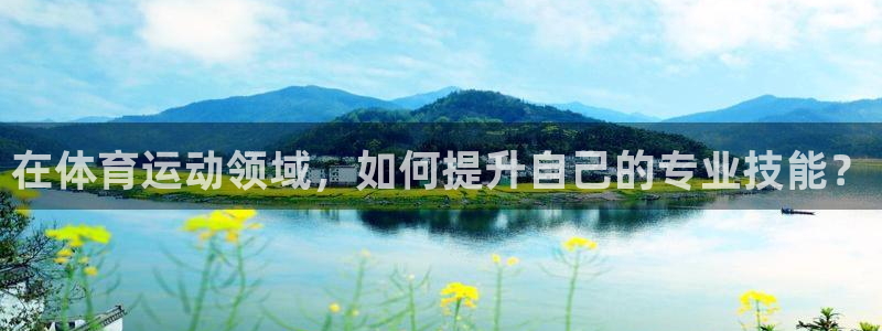在体育运动领域，如何提升自己的专业技能？